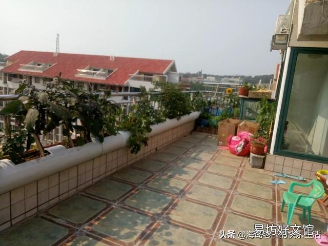在阳台种菜,如何解决土壤和肥料的问题?