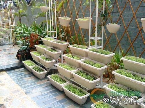 在阳台种菜,如何解决土壤和肥料的问题?