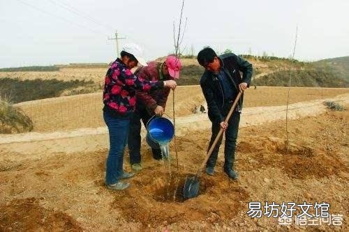 果树是秋季栽培好,还是春季栽培好呢?