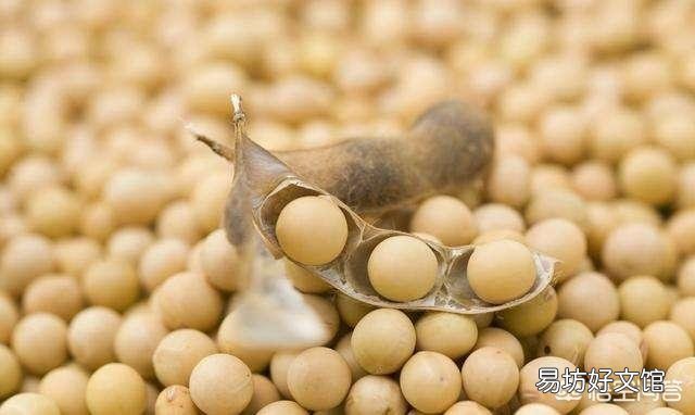 大豆控旺最佳期是什么时候?怎么操作,谢谢老师?