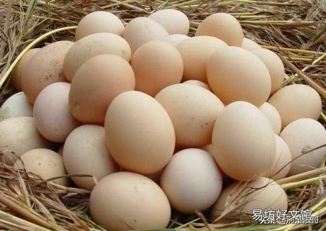 2020年以来鸡蛋价格为何一路下降会比菜价都便宜?