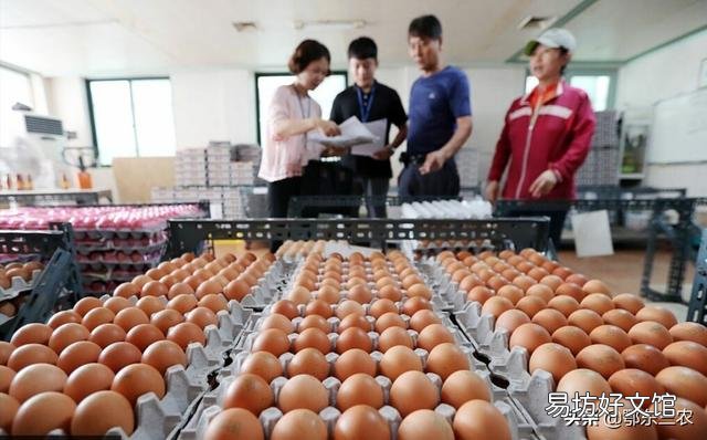 2020年以来鸡蛋价格为何一路下降会比菜价都便宜?