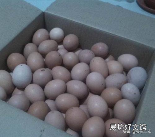 2020年以来鸡蛋价格为何一路下降会比菜价都便宜?