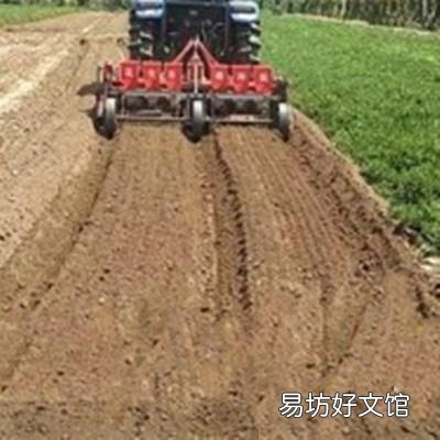 如果今后耕地的人变少了,那么,粮食会短缺吗?为什么?
