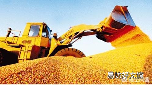 如果今后耕地的人变少了,那么,粮食会短缺吗?为什么?