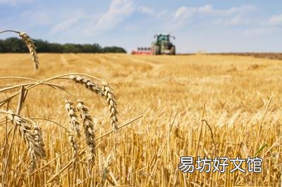 如果今后耕地的人变少了,那么,粮食会短缺吗?为什么?