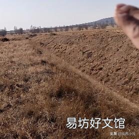 如果今后耕地的人变少了,那么,粮食会短缺吗?为什么?