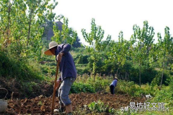 化肥生产、运输难题,真的难倒了众人,谈谈你的看法?