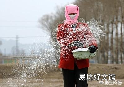 化肥生产、运输难题,真的难倒了众人,谈谈你的看法?