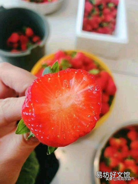 现在农村大棚草莓卖不出,果农该怎么办?