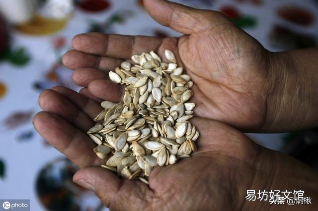 在农村能多次收割的蔬菜有哪些?