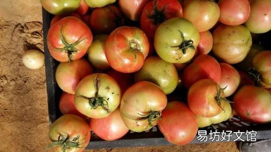 农村老两口一个月花150元吃饭,老人都吃些什么?