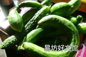 农村老两口一个月花150元吃饭,老人都吃些什么?