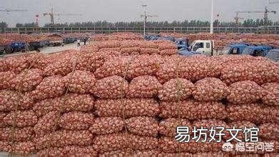 目前大蒜的价格不断上涨,你觉得现在囤一些大蒜可以吗?