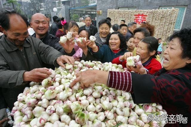 目前大蒜的价格不断上涨,你觉得现在囤一些大蒜可以吗?