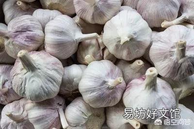 目前大蒜的价格不断上涨,你觉得现在囤一些大蒜可以吗?