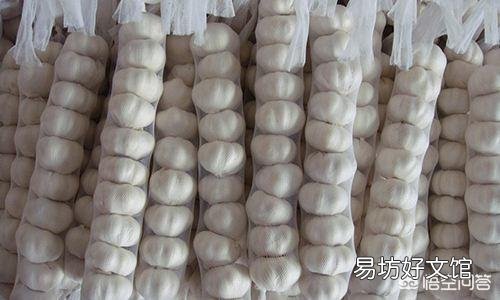 目前大蒜的价格不断上涨,你觉得现在囤一些大蒜可以吗?