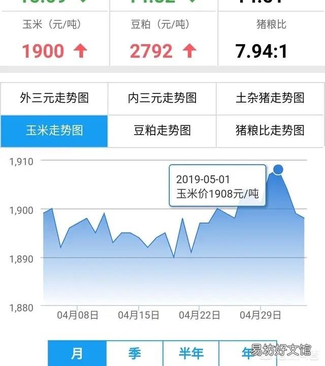 玉米涨价,后期还有上涨空间吗?2019年种玉米效益会如何?