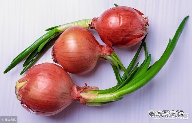 怎样区分洋葱和火葱秧苗？