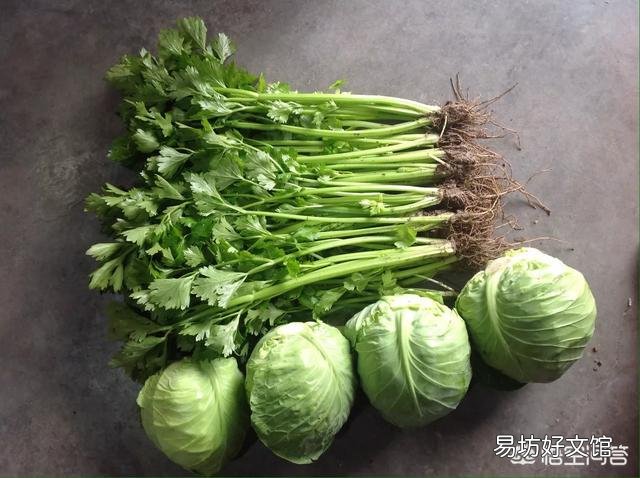 种植芹菜,需要注意些什么?