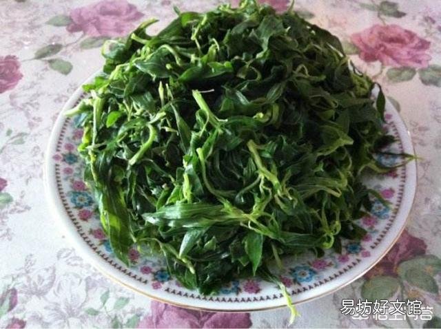天气转暖，农村的扫帚菜也到了采摘的时候，野菜扫帚菜怎么制作好？