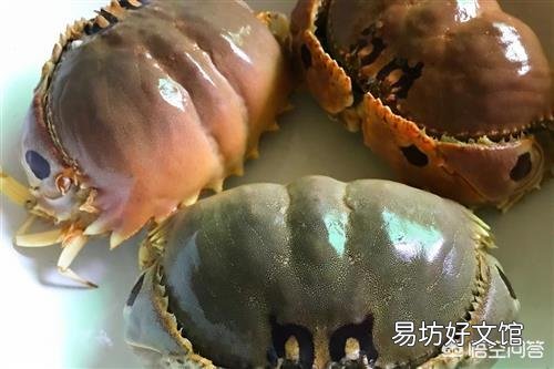 为什么村民在海边捕获的馒头蟹都会扔掉,市场卖5元一斤都没人买?为什么呢?
