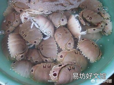 为什么村民在海边捕获的馒头蟹都会扔掉,市场卖5元一斤都没人买?为什么呢?
