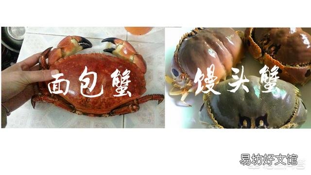 为什么村民在海边捕获的馒头蟹都会扔掉,市场卖5元一斤都没人买?为什么呢?