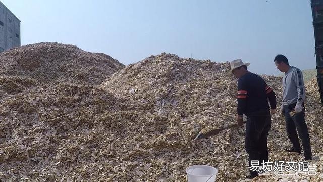 在农村办一个小型加工厂,加工什么好?