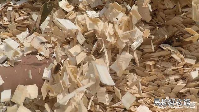 在农村办一个小型加工厂,加工什么好?