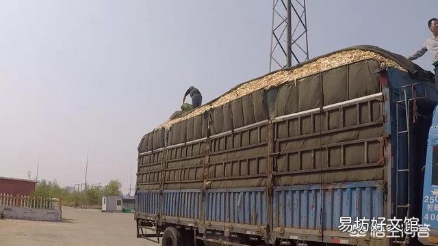 在农村办一个小型加工厂,加工什么好?