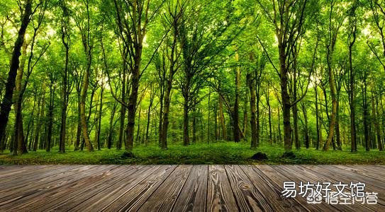 为什么高速两边50米内不能种庄稼而要绿化?