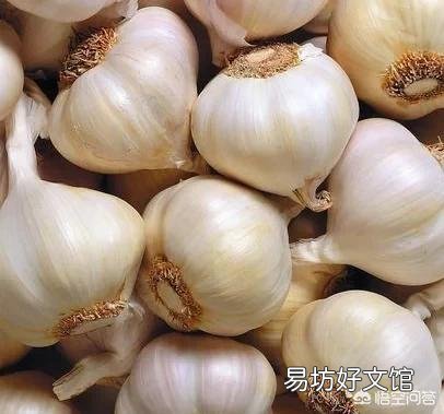 刚看了新闻两个菜农用剧毒农药浇灌韭菜获刑,请问哪些菜不用农药吃着放心?