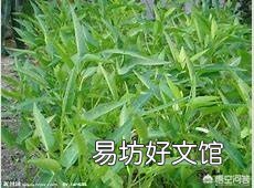 刚看了新闻两个菜农用剧毒农药浇灌韭菜获刑,请问哪些菜不用农药吃着放心?