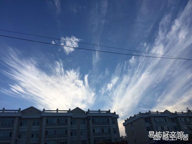 又是一年春耕时,作为黑龙江的农业生产者,你今年想种点什么?