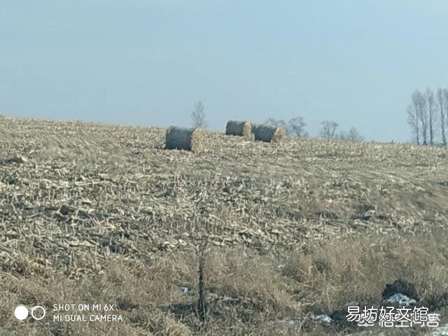 黑龙江目前秸秆过剩,应该怎么处理?