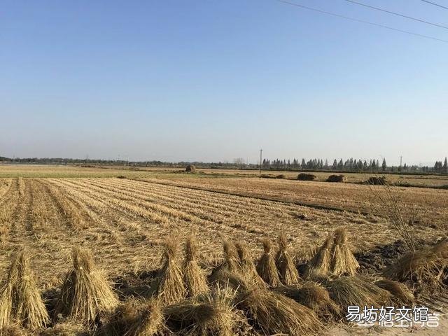 黑龙江目前秸秆过剩,应该怎么处理?