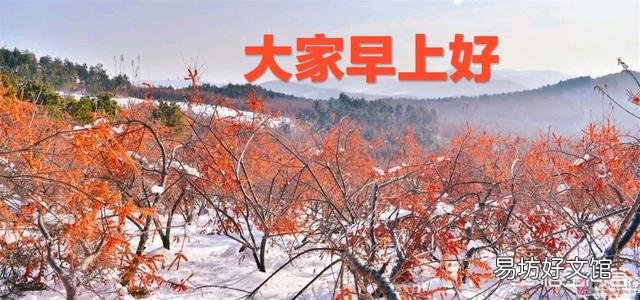 去年过年回到老家,村庄里居然一个人都没有,全部搬走了,这种情况正常吗?