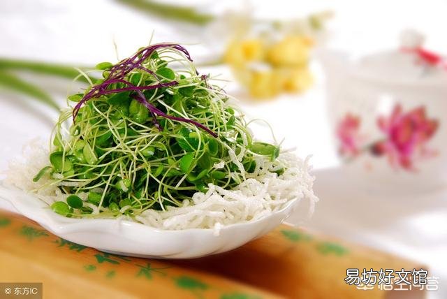 大棚种植的香椿芽菜烂根、倒苗怎么办?