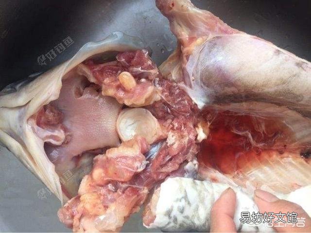 农村常见的“青鱼石”有哪些用途?取出青鱼石后怎么处理?