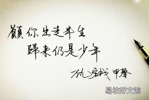愿你出走半生归来仍是少年是什么意思