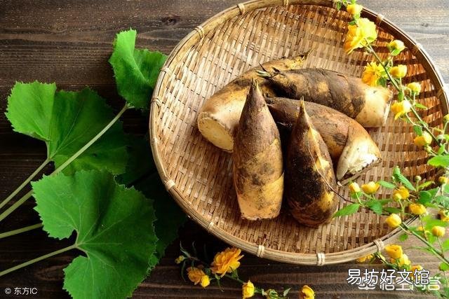 如何在山上找到冬笋?