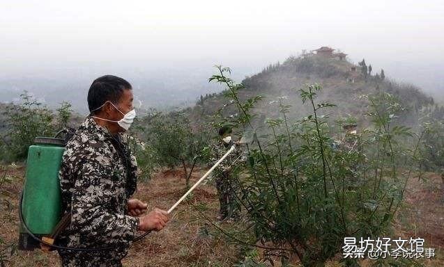 花椒种植用什么肥料合适？