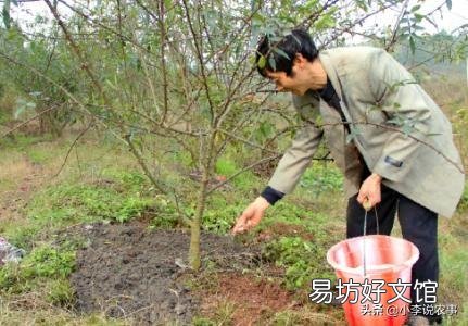 花椒种植用什么肥料合适？