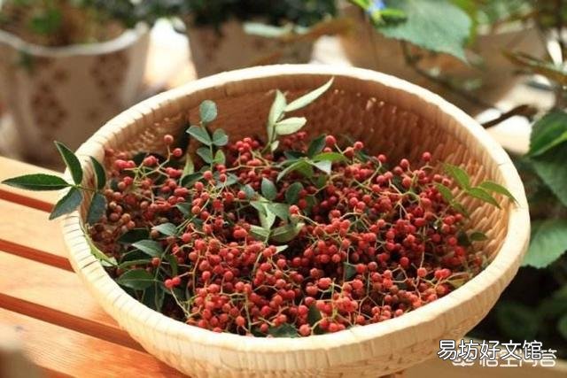 花椒种植用什么肥料合适？
