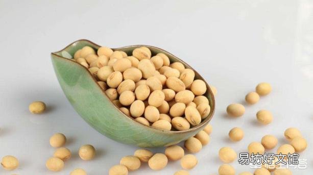 黄豆怎样做有机肥？需要注意哪些问题？