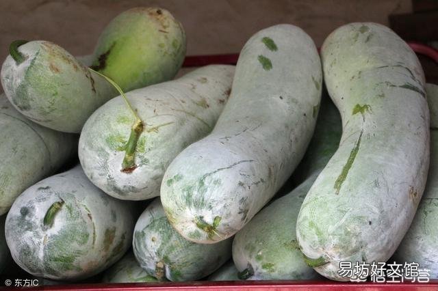 冬瓜皮上的那层白色物质是什么？有何作用？