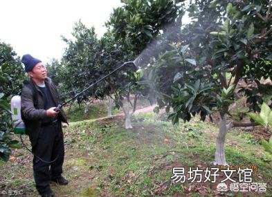 波尔多液能不能与杀虫杀菌药剂混合使用？