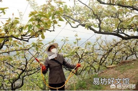 波尔多液能不能与杀虫杀菌药剂混合使用？