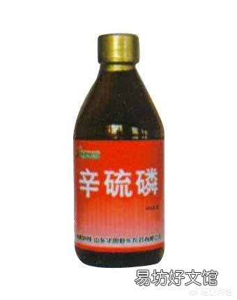 大豆虫子多应该打什么农药?